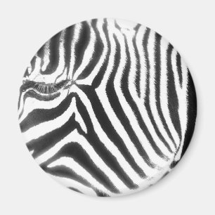 Íman Zebra Abstrato Magnet