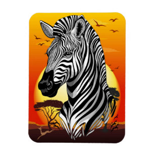 Íman Zebra African Savanna Wild Animal