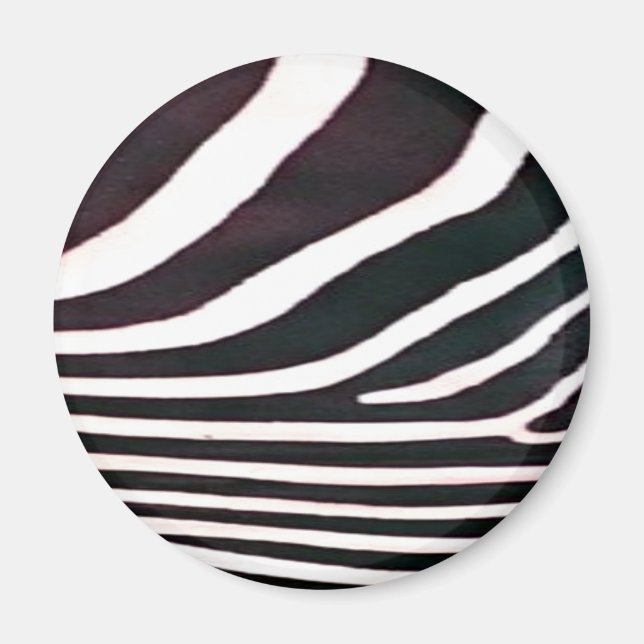 Íman Zebra Black and White Stripes Impressão (Frente)