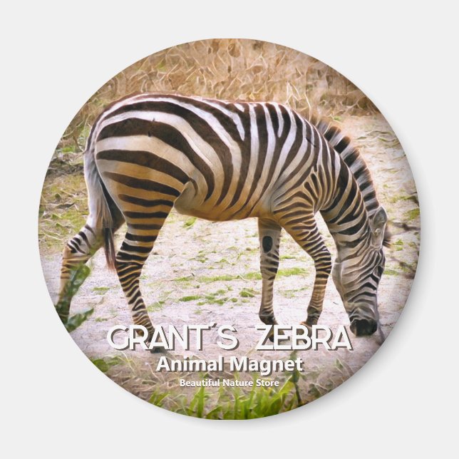 Íman zebra de Grant ímã (Frente)