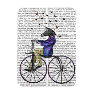 Íman Zebra em Bicicleta