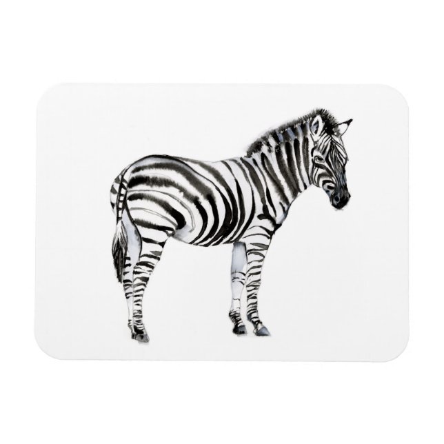 Íman Zebra em pé (Horizontal)