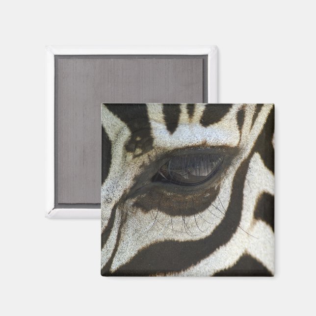 Íman Zebra Eye Magnet (Front/Back)