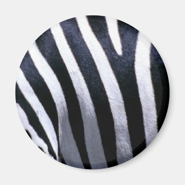 Íman Zebra fur (Frente)