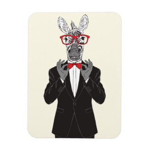 Íman Zebra Gentleman