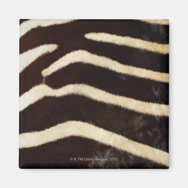 Íman Zebra Hide (Frente)
