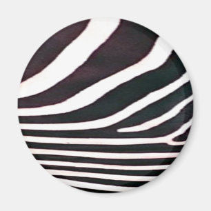 Íman Zebra Impressão