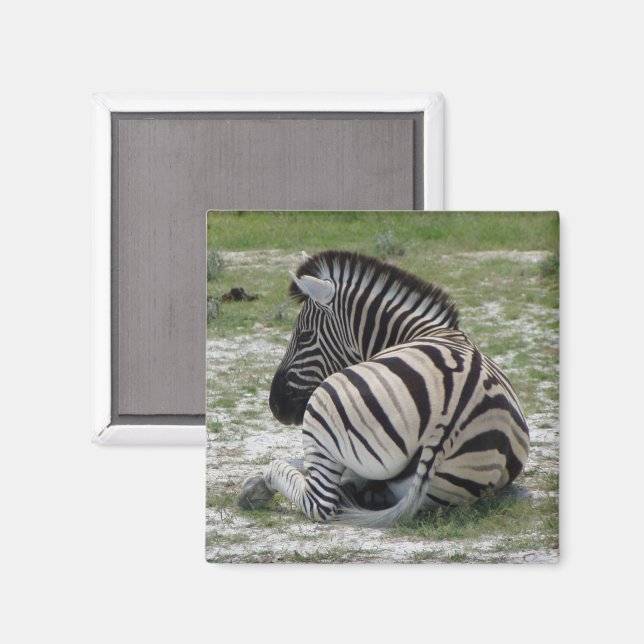 Íman Zebra Magnet (Front/Back)