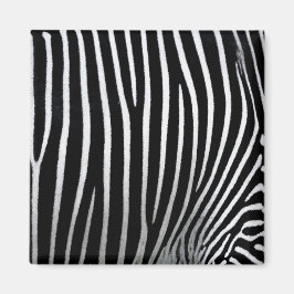 Íman Zebra Skin