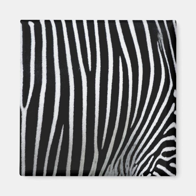 Íman Zebra Skin (Frente)