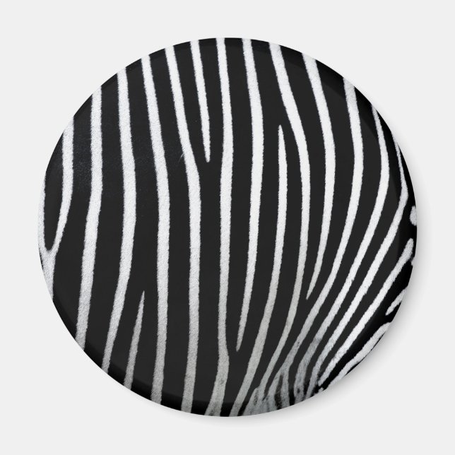 Íman Zebra Skin (Frente)