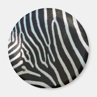 Íman Zebra Stripes
