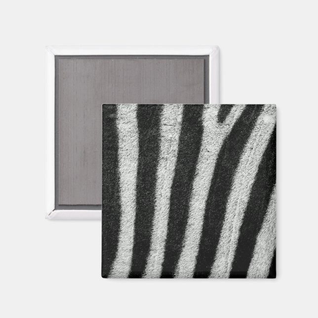 Íman Zebra Stripes Magnet (Front/Back)