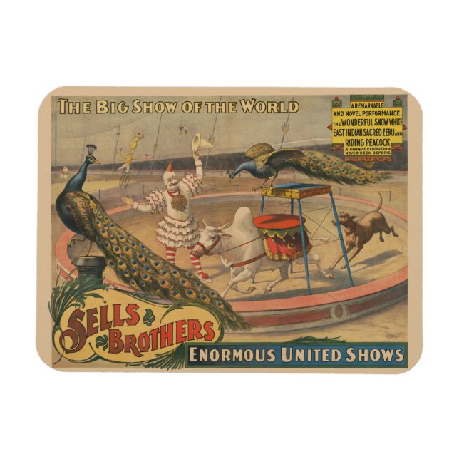 Íman Zebu E Pavão Com Treinador De Palhaços (Horizontal)