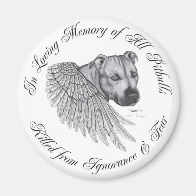 Íman Zeus Angel (Frente)