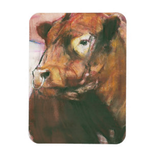Íman Zeus Galloway cercado vermelho Bull 2006 2