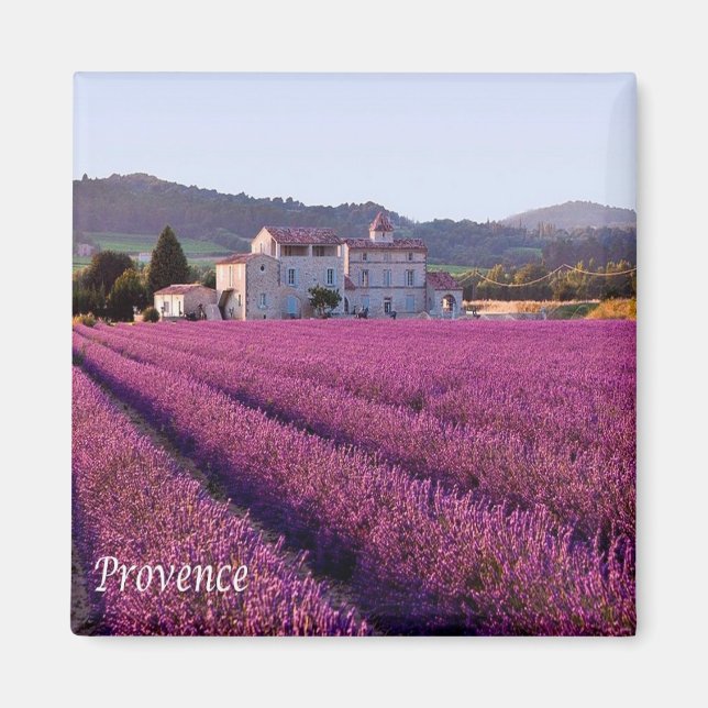 Íman zFR149 PROVENCE, França, Fridge (Frente)