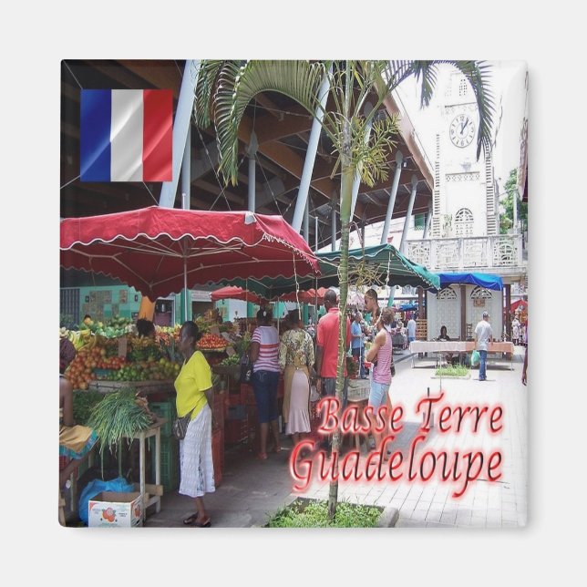 Íman zGP007 GUADELOUPE, Basse-Terre, Fridge (Frente)