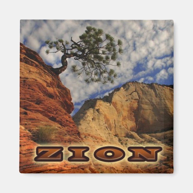 Íman Zion Magnate (Frente)