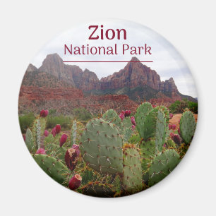 Íman Zion National Park Bloom Magnet