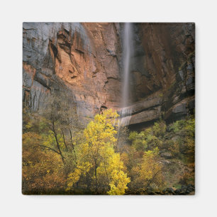 Íman Zion National Park, Utah. EUA. Ephemeral