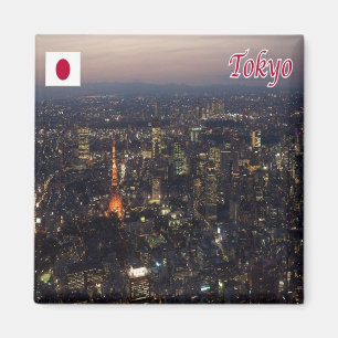 Íman zJP008 TOKYO, Japão, Ásia, Fridge