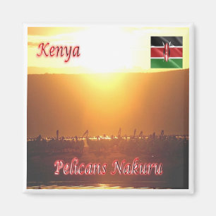 Íman zKE020 KENYA, Pelicanos Nakuru, África, geladeira