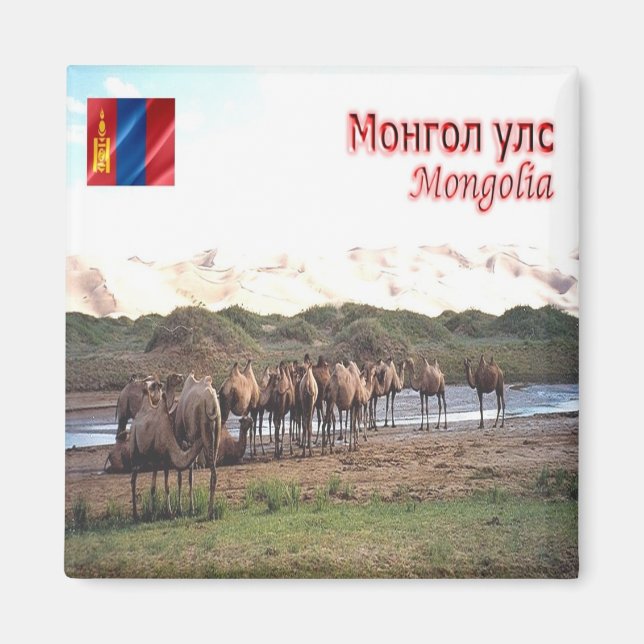 Íman zMN008 KHONGORYN ELS CAMELS, Mongólia, frigorífico (Frente)