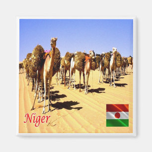 Íman zNE007 NIGER, Oasis Bilma, África, Fridge