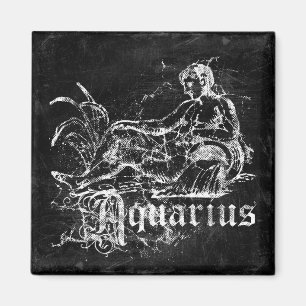 Íman Zodiac Vintage Aquarius