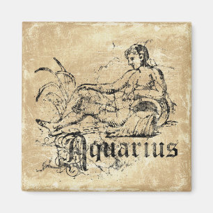 Íman Zodíaco Aquário Vintage