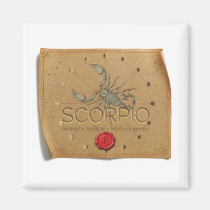 Íman ZODÍACO - Escorpião - Magneto