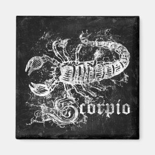 Íman Zodíaco Vintage Scorpio