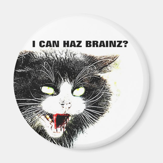 Íman Zombie Cat I Can Haz Brainz Magnet (Frente)