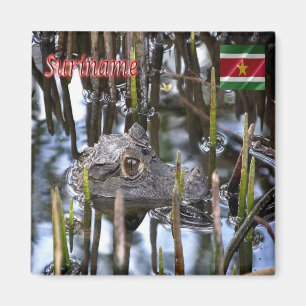 Íman zSR004 SURINAME, Bigi-Pan kaaiman, América, Fridge