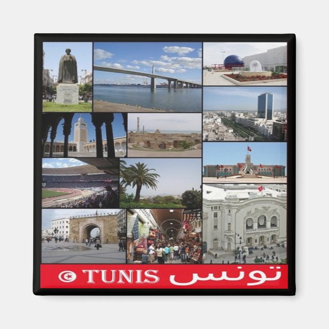Íman zTN020 TUNIS, Mosaico, Tunísia, África, Magno de F (Frente)