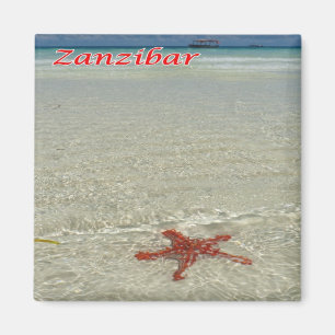 Íman zTZ011 ZANZIBAR, Starfish, Tanzânia, África, frigo