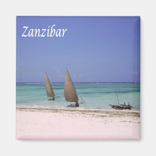 Íman zTZ015 ZANZIBAR, Tanzânia, África, frigorífico