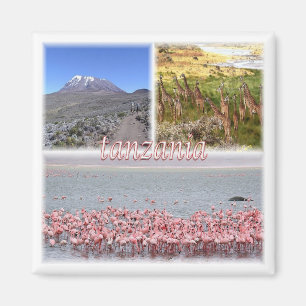 Íman zTZ019 TANZÂNIA, Mosaico, África, geladeira