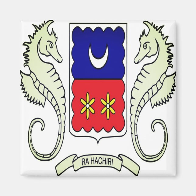 Íman zYT001 MAYOTTE, Flag, Africa, Fridge (Frente)