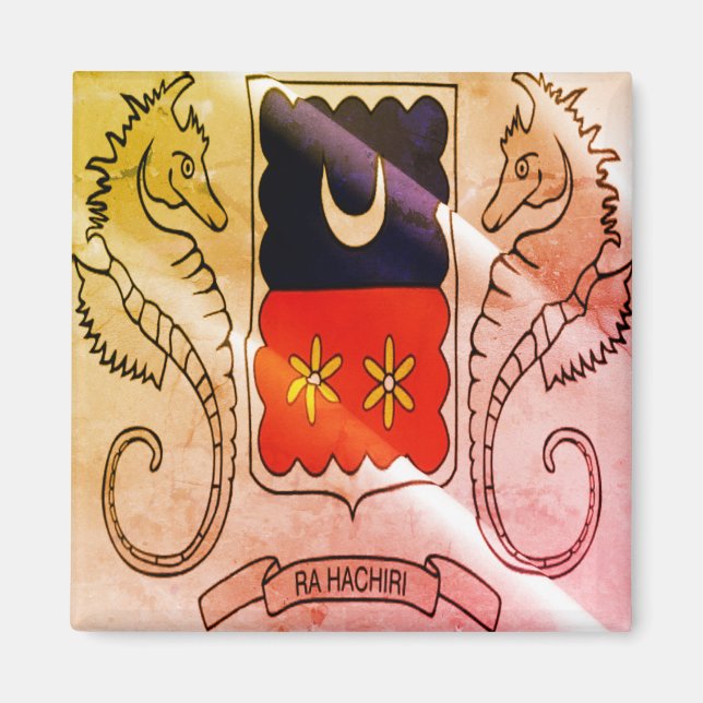 Íman zYT002 MAYOTTE, Waving Flag, África, Fridge (Frente)