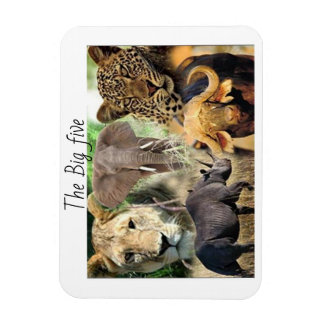 ímanes Kenya cinco grandes