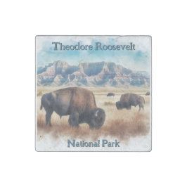 Ímãs Flexisíveis Theodore Roosevelt Parque Nacional Bison Souvenir