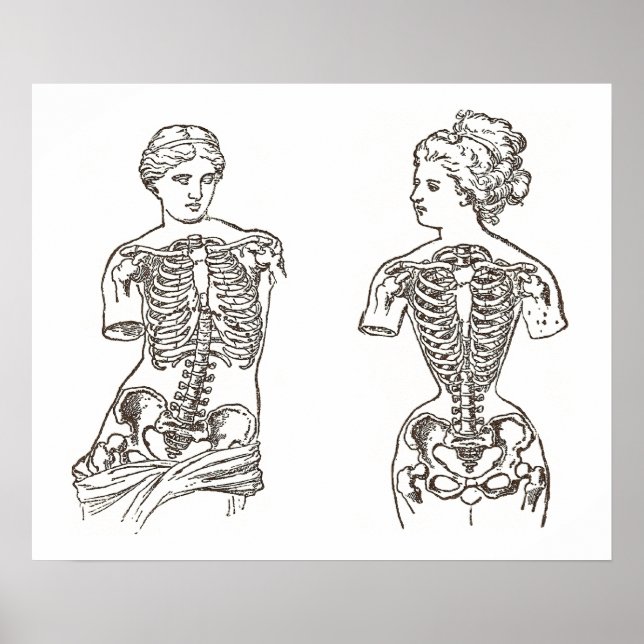 Impacto físico do Visto do Impressão médico do Cor (Frente)
