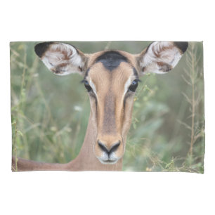 Impala Portrait