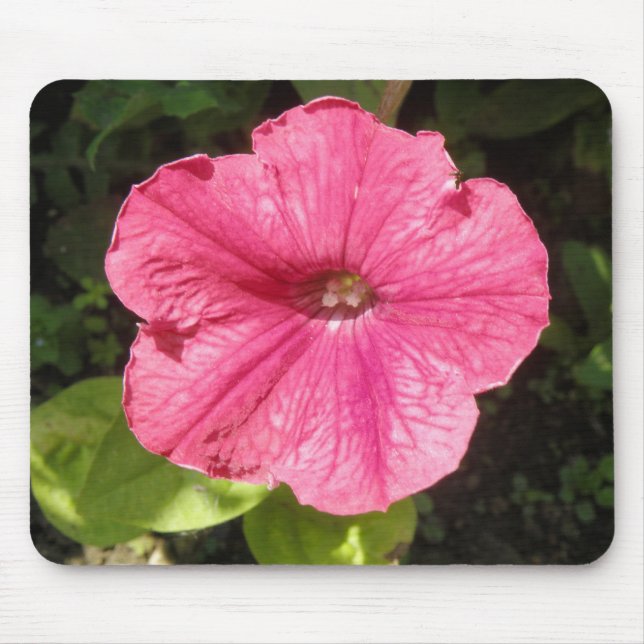 Impatiens Mousepad Rosa Escuro (Frente)