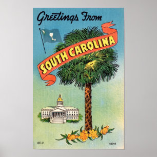 Impressão 11x17 da Palmeira Palmetto da Carolina d