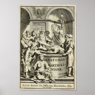 Impressão 1686 da educação da anatomia do vinta