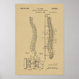 Impressão 1940 anatômico da arte da patente da