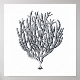 Impressão 1 de Sealife Group12A